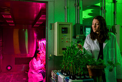 Students in an Environmental Engineering Grow Chamber. Links to Gifts That Protect Your Assets